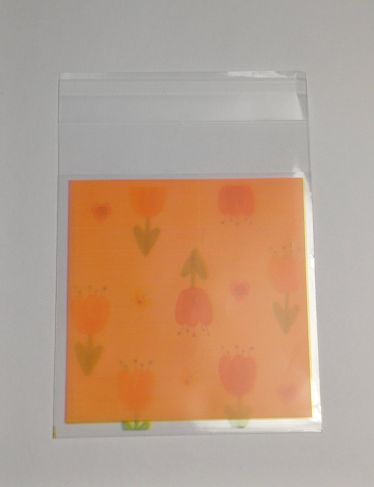 Tulpen inpak zakje