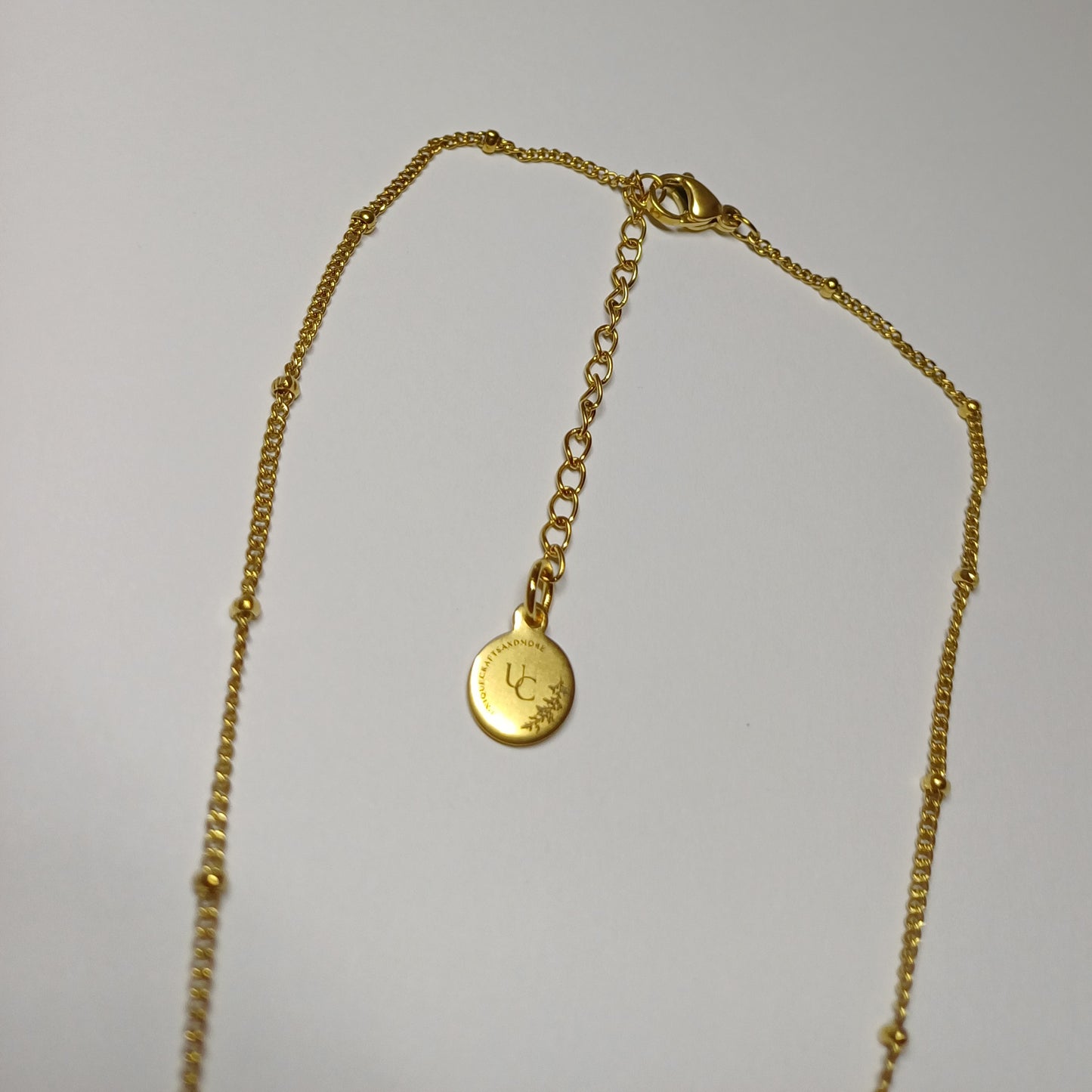 Schildpad ketting