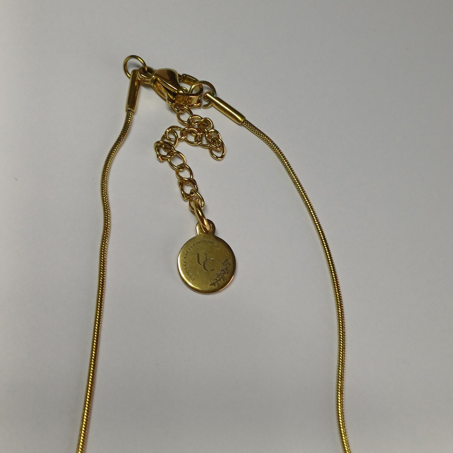 Kleurrijke vis ketting