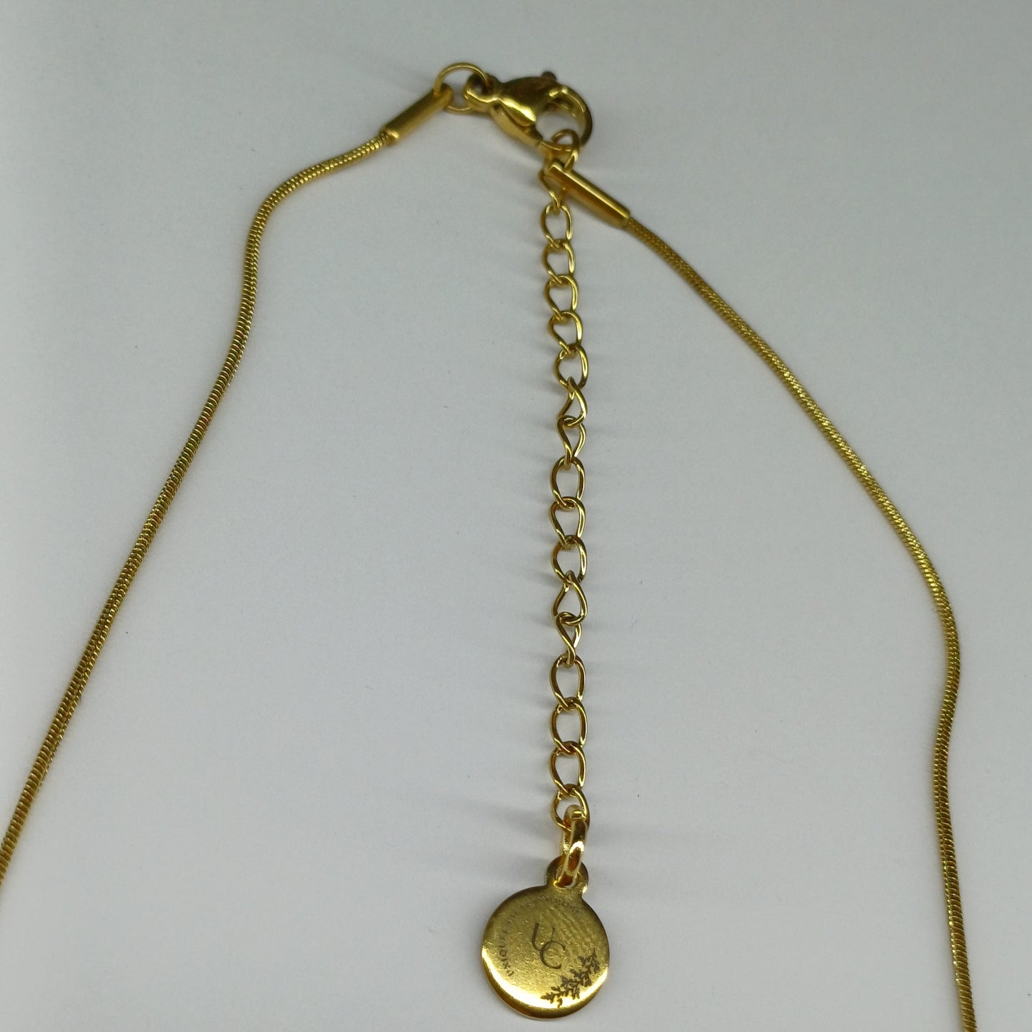 Kleurrijke vis ketting
