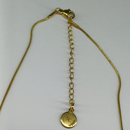 Kleurrijke vis ketting
