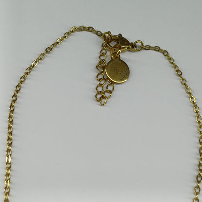 vis ketting