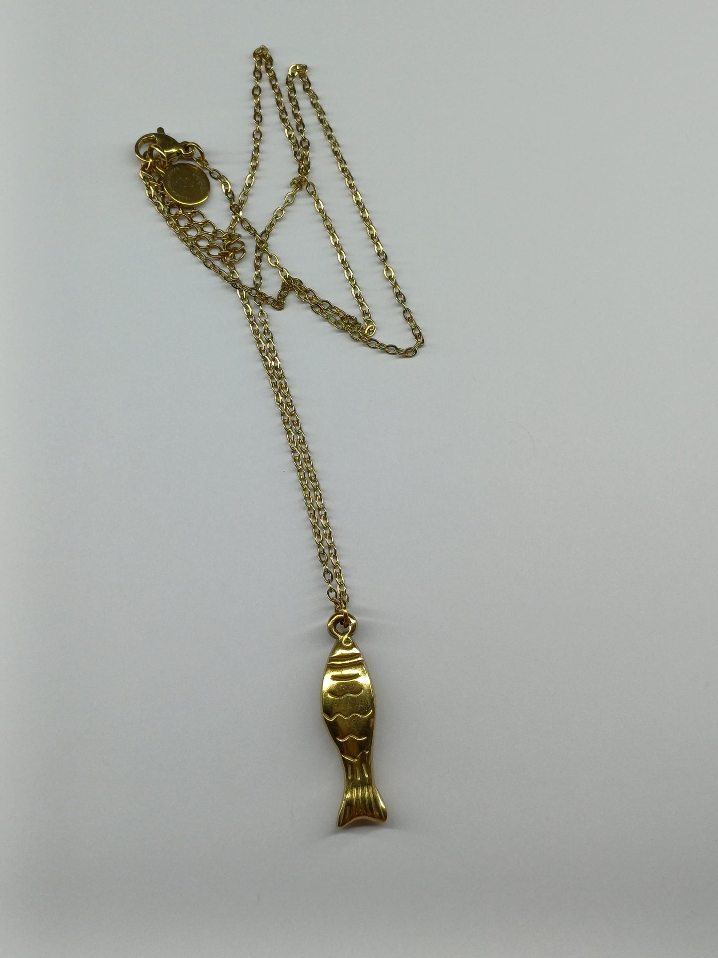 vis ketting