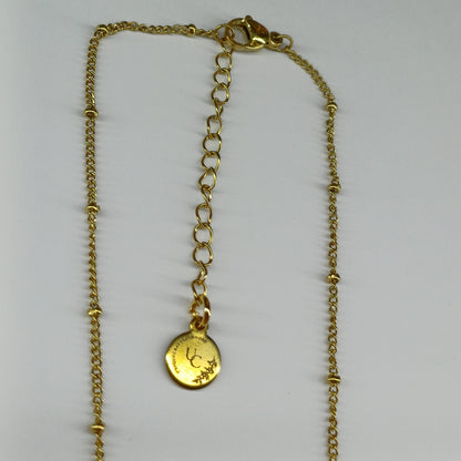 Schildpad ketting